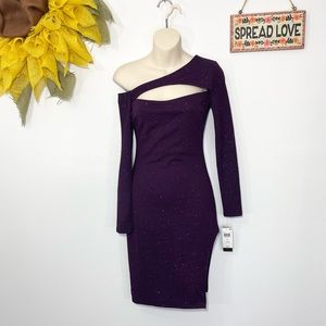 NWT XS Plum purple long sleeve bodycon sparkle dress w/ side slit & cutout